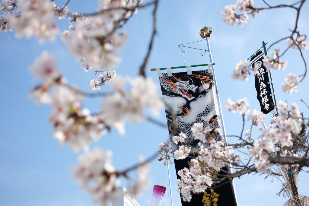 鯉のぼりの名前旗受付を2月1日 金 より開始致します